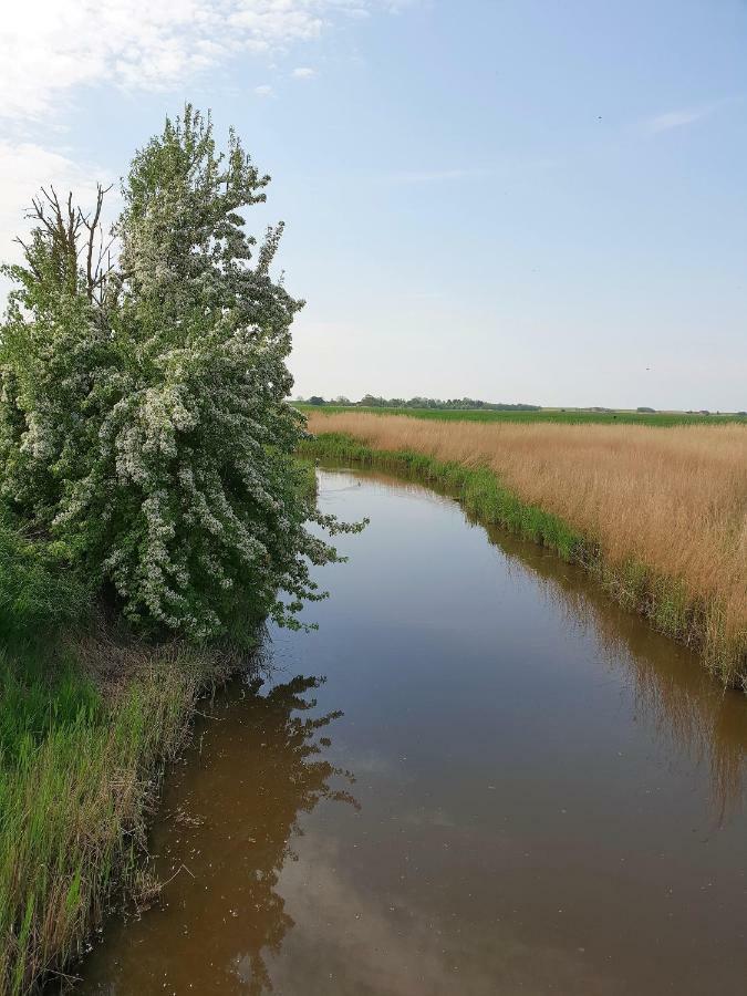 Kleines Haeuschen Am Deich, Vor Den Toren Von Sylt Villa Emmelsbull-Horsbull ภายนอก รูปภาพ